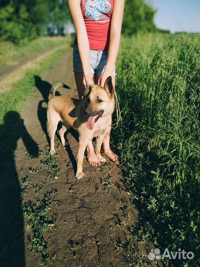 Милая и красивая Милана ищет дом