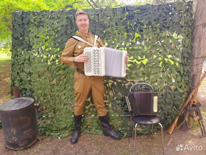 Баян, баянист на праздник в Москве