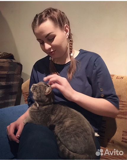 Присмотр,Передержка, выгул животных )