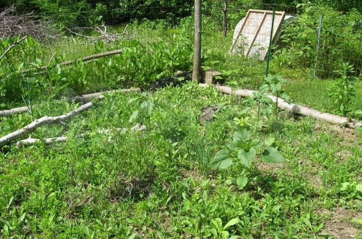 Участок 6 сот. (ИЖС)