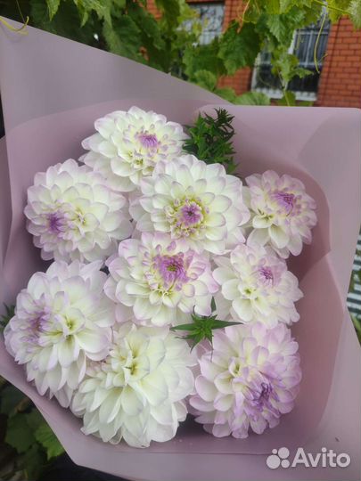 Букет георгины