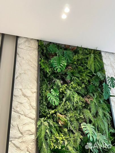 Аренда фитостен из растений