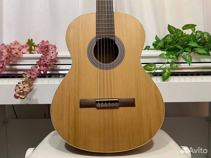 Классическая Гитара Alhambra с Чехлом (Испания)