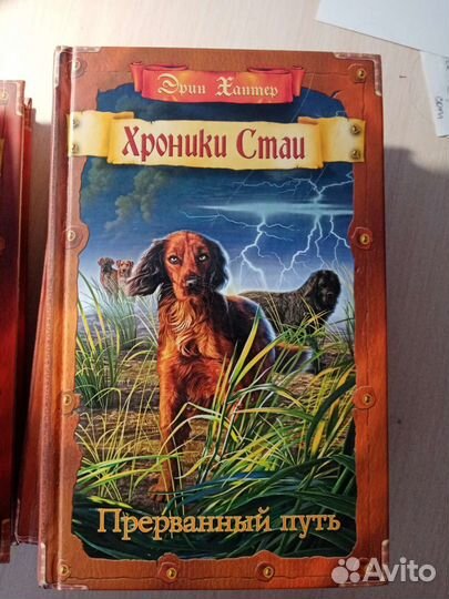 Книги Эрин Хантер 