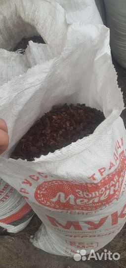 Мульча (шелуха кедровой шишки)