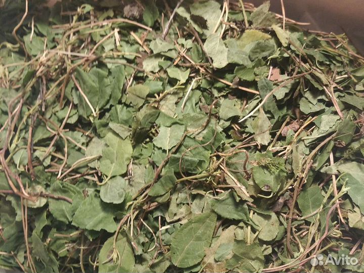 Травы из Горного Алтая