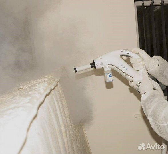 Уничтожение клопов тараканов клещей плесени крыс