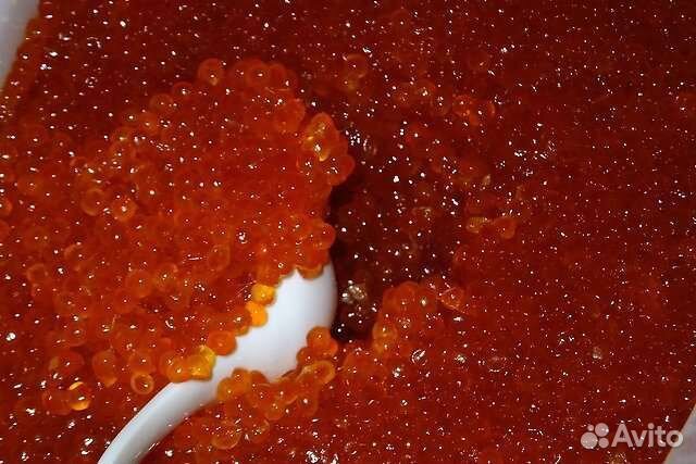 Красная икра 2023 камчатка