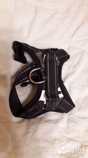 Шлейки и поводок