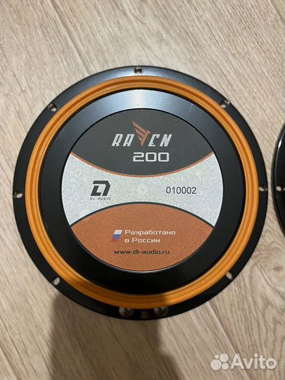 Динамик DL Audio Raven 200