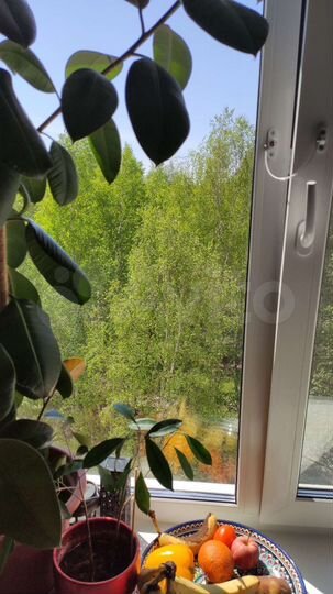 2-к. квартира, 54 м², 5/5 эт.