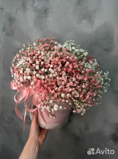 Гипсофилы для девушки