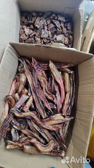 Собачий корм субпродукты говяжьи