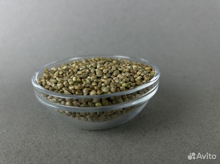 Конопляное семя