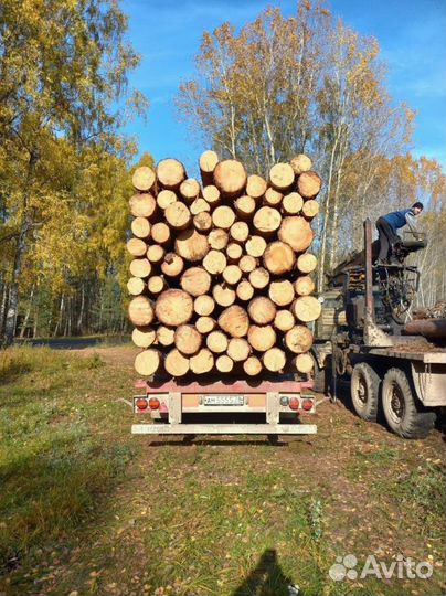 Лес кгруляк опт