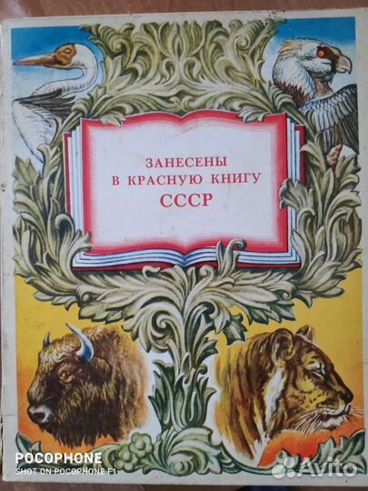 Спички коллекционные