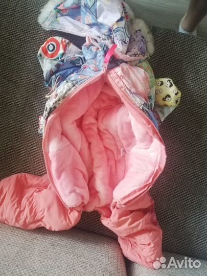 Одежда для собак