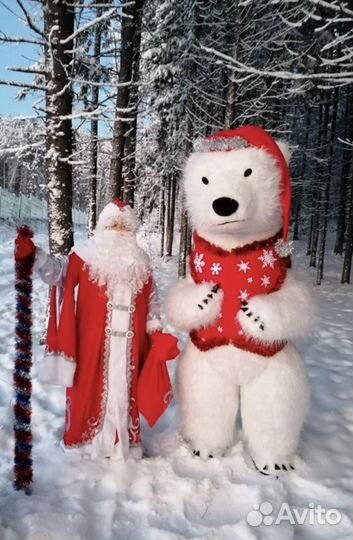 Аэромедведь костюм медведя