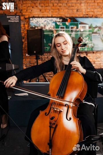 Музыканты на мероприятие, кавер группа, виолончель