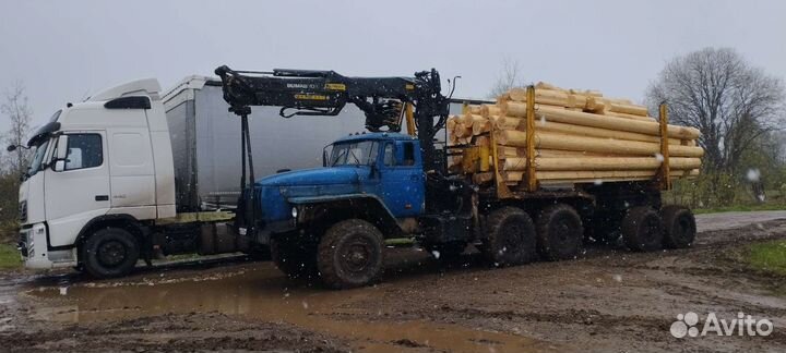 Срубы ручной работы под заказ