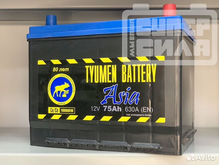 Аккумуляторы asia