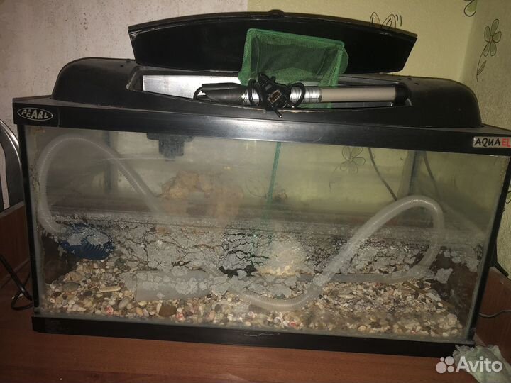 Аквариум