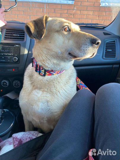 В надежде на любовь