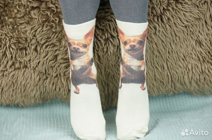 Шерстяные носки с принтом Серия собаки. Чихуахуа