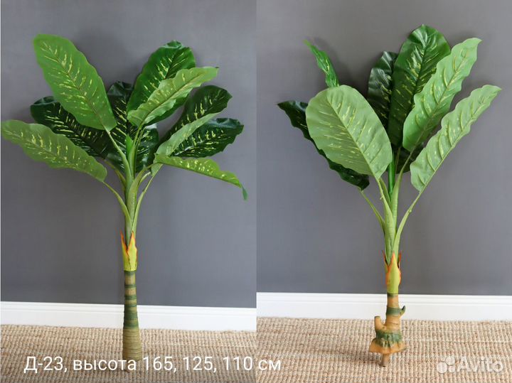 Искусственные деревья, Диффенбахия комплект