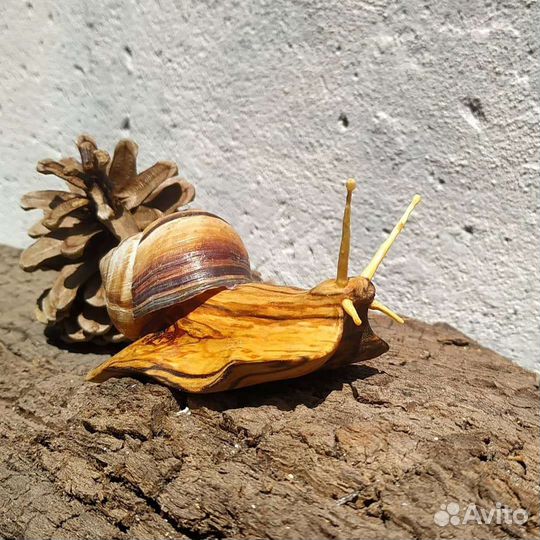 Улитка виноградная сувенир