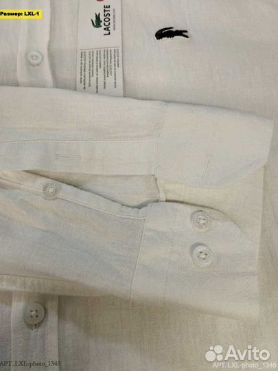 Рубашки Lacoste