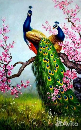 Картина по номерам 40x50 Павлины на ветке цветущей