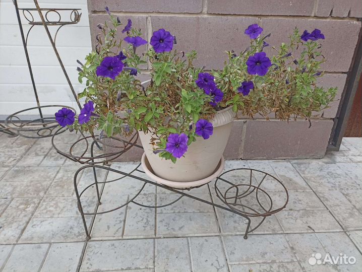 Держатель для украшений