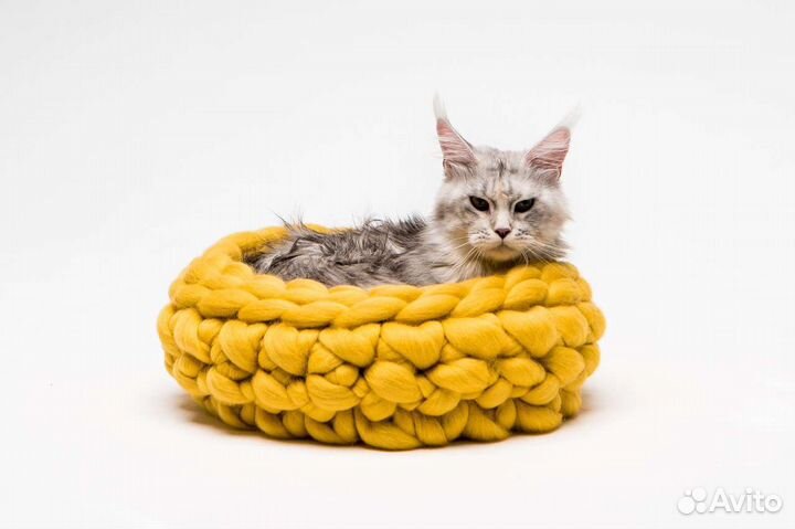 Лежанка для животных