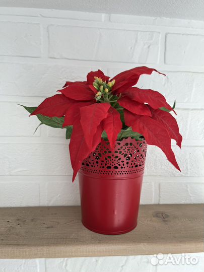 Фейка IKEA и кашпо