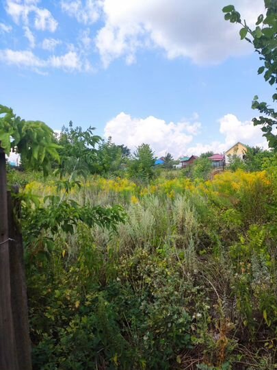 Дом 48 м² на участке 12 сот.