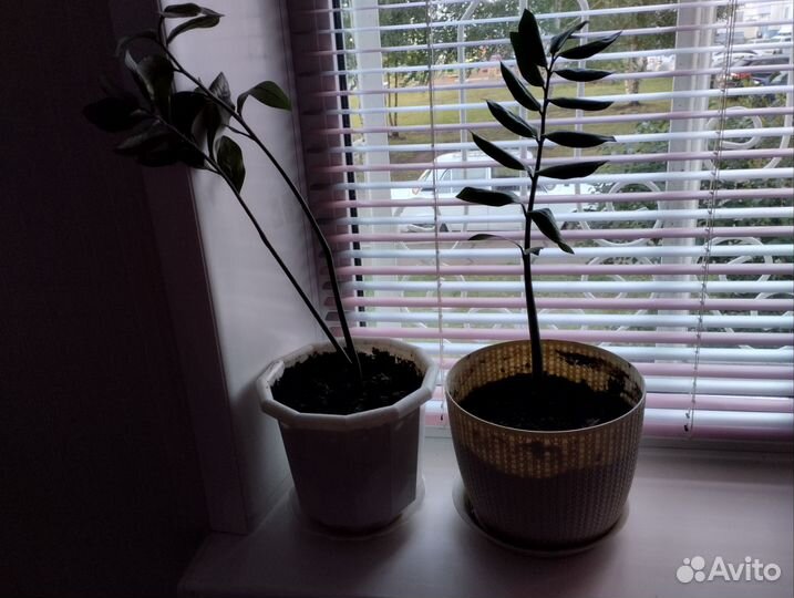 Горшок для цветов