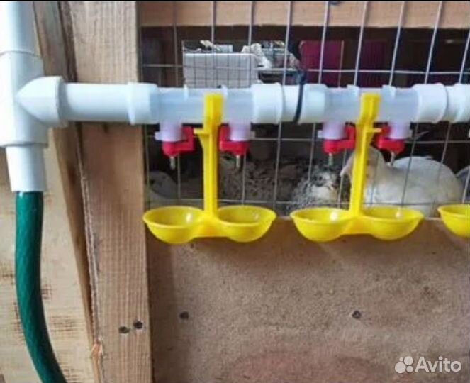 Нипельные поилки