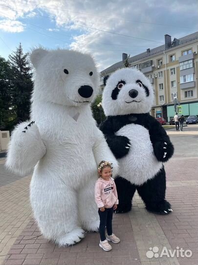 Белый мишка поздравление панда медведь