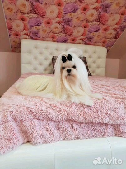 Мальчик (вязка)