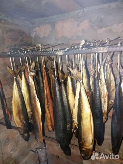 Копчение мяса сала рыбы