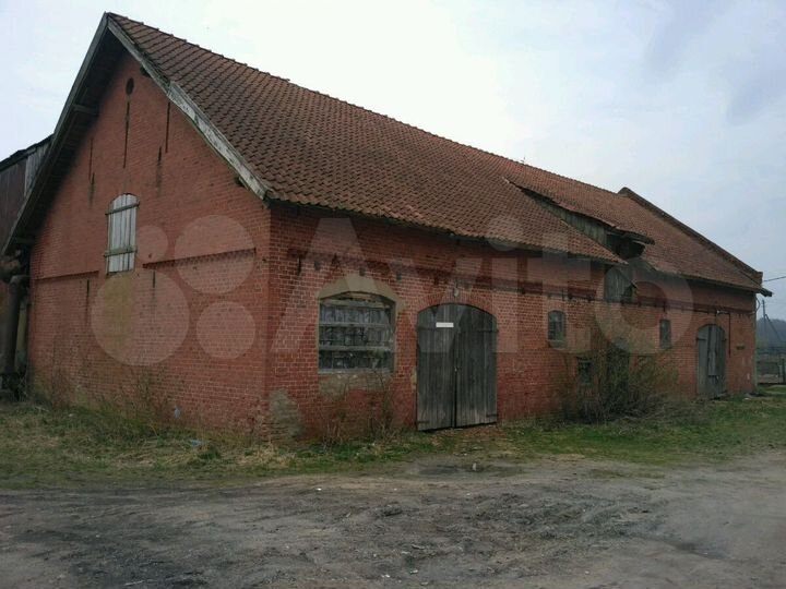 Цех лесопиления