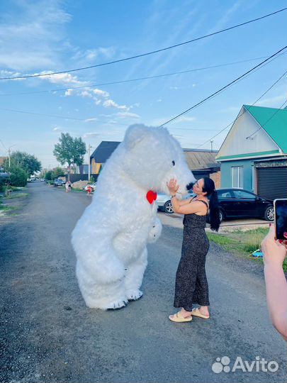 Белый мишка поздравление от Винни