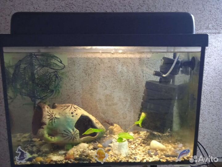 Аквариум