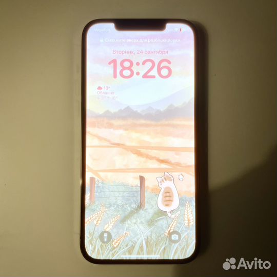 iPhone 12 Pro Max, 128 ГБ