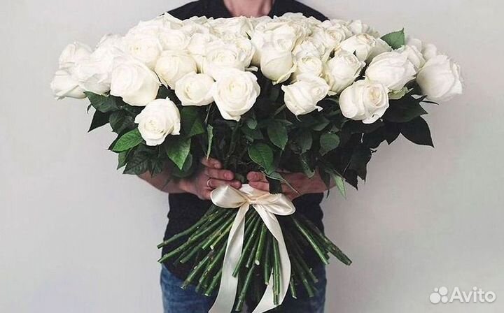 Высокие розы Гигантские розы 110