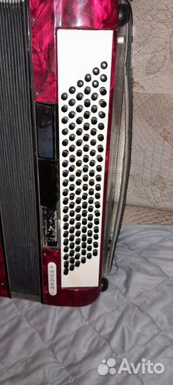 Баян пятирядный