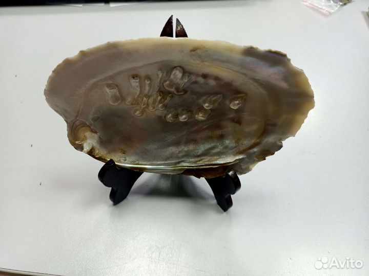 Сувенир ракушка жемчуг