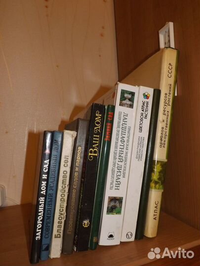 Проектирование, строительство домов и другие