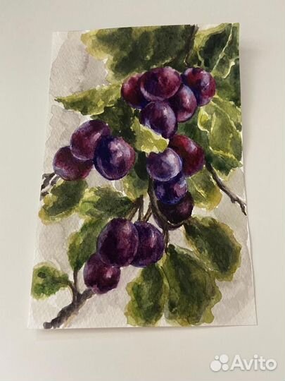 Акварельные картины. Ботанические иллюстрации